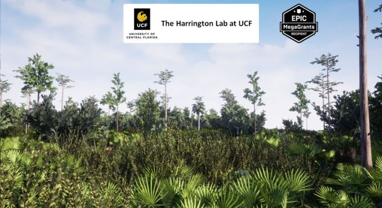 Mesic Flatwoods Habitat Brush download