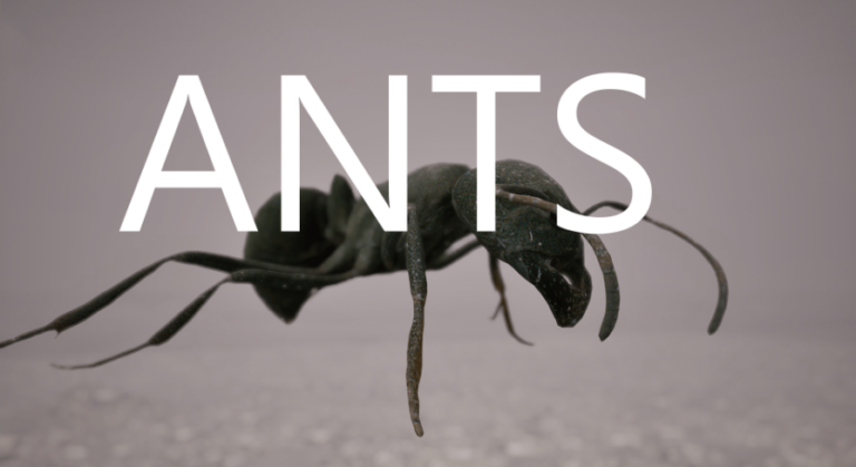 Ants download