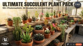Ultimate Succulent Plant Pack(57 models) download
