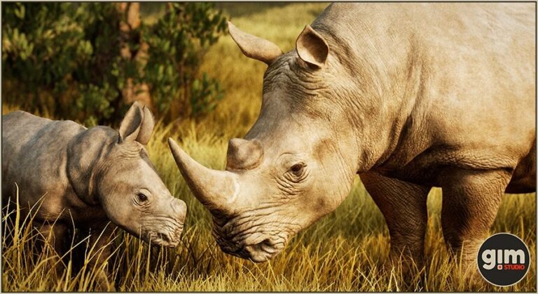Animalia – White Rhinoceros (pack) download