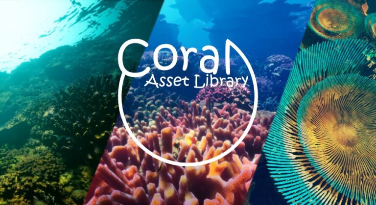 Coral download