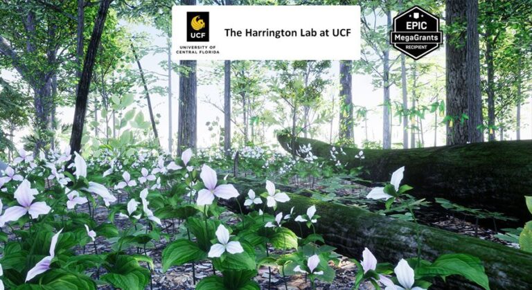 35 AR VR Northeastern US Plants and Ecosystems download