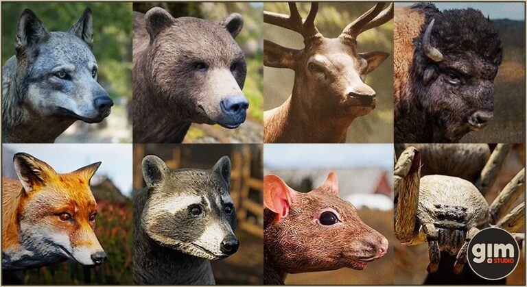 Animalia – Starter Kit download