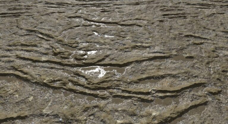 Dirty and Muddy Terrain Pack download