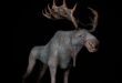 Horror Moose download