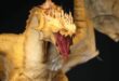 Dragon6 download
