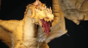 Dragon6 download