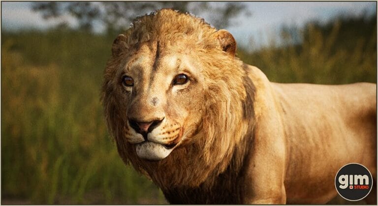 Animalia – Lion (male) download