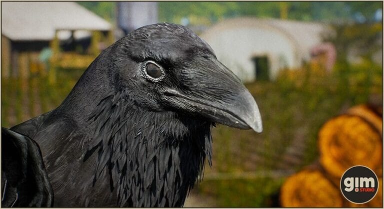 Animalia – Raven download