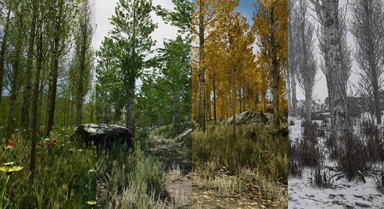 Scanned Poplar and Aspen Forest with Seasons download