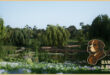 Willow Lake Biome Environment download