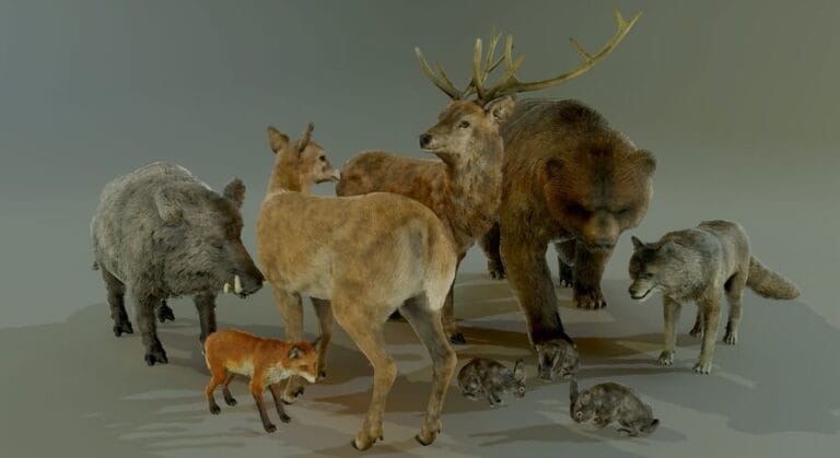 FOREST ANIMALS PACK download