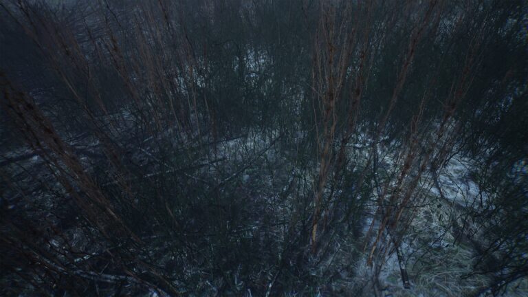 Bleak Winter Park download