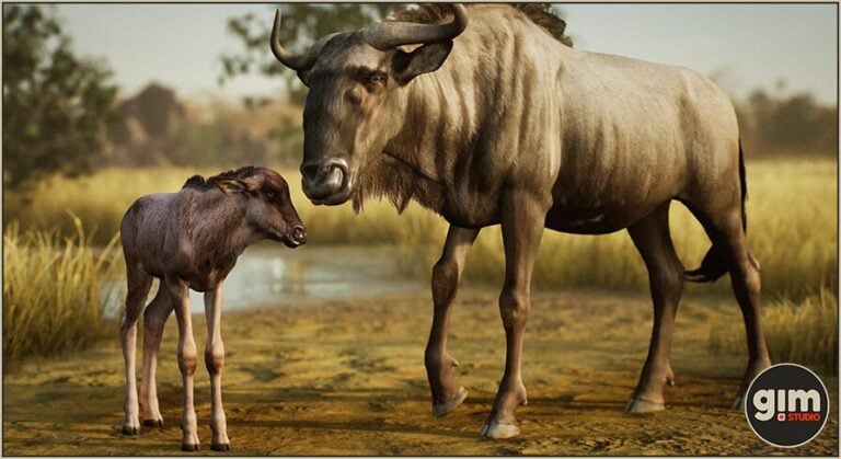 Animalia – Blue Wildebeest (pack) download