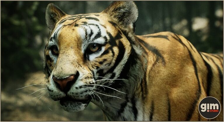 Animalia – Tiger (male) download