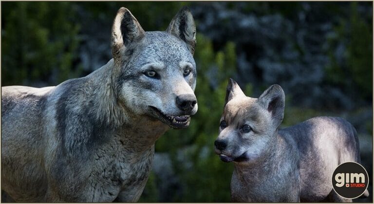 Animalia – Gray Wolf (pack) download