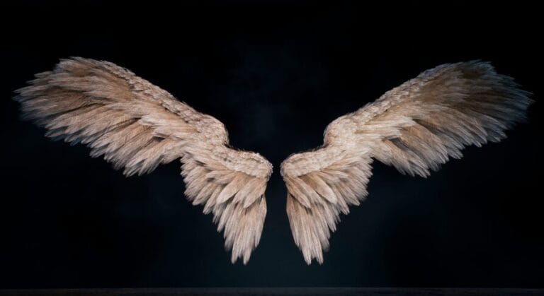 Wings download
