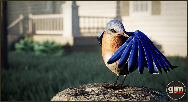 Animalia – Bluebird download