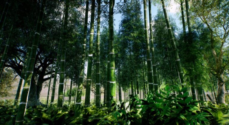 Bamboo Asian forest download