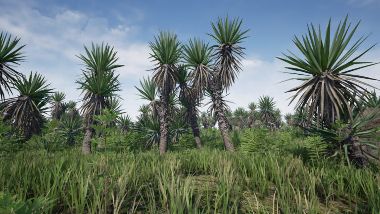 Yucca Pack (Yucca filamentosa) download