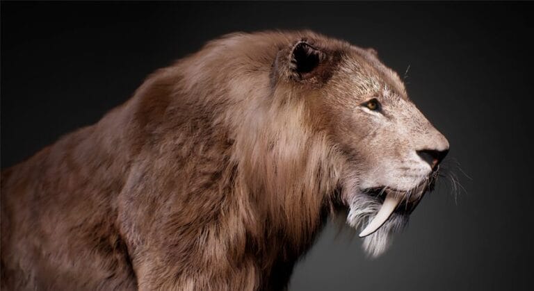 The Sabertooth download