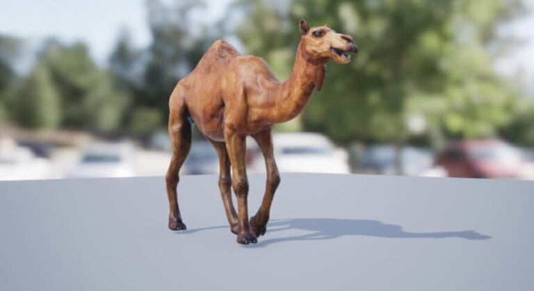 African Animal – Camel (Dromedary) download