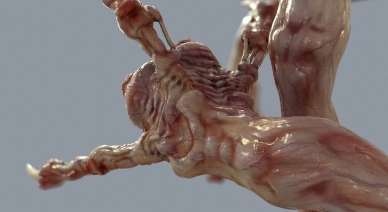 Venous Clawed Worm download