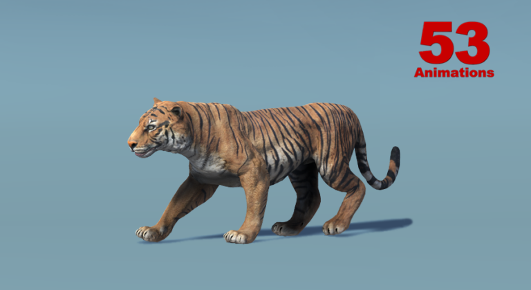 Asian Animal – Tiger download