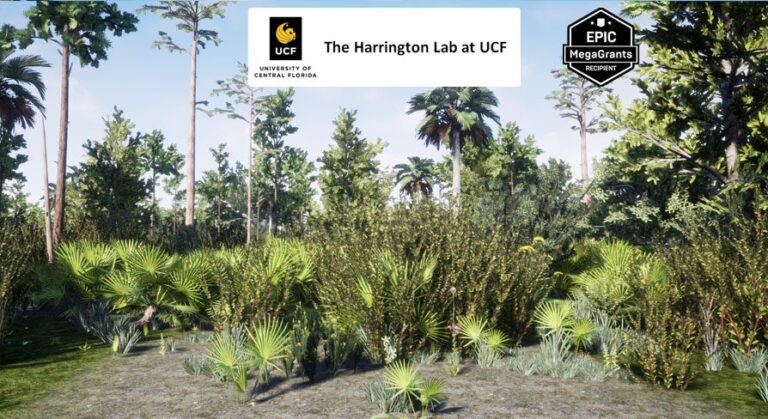 Wet Flatwoods Habitat Brush download