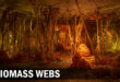 Biomass webs download