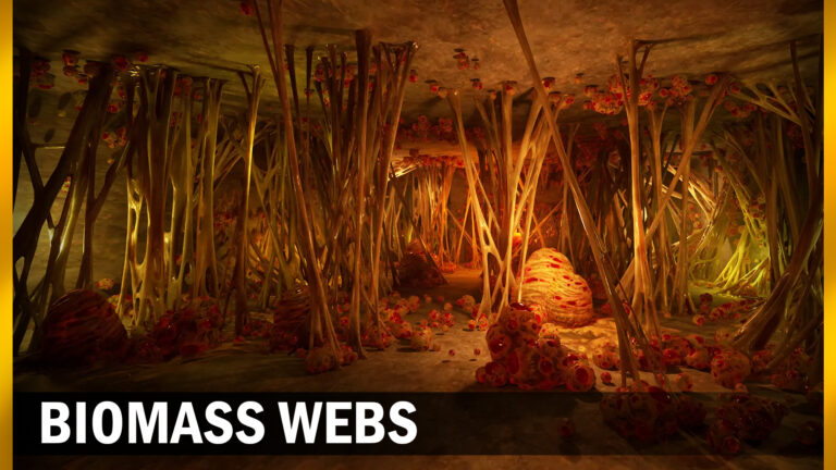 Biomass webs download