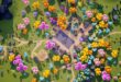 Stylized Fantasy Village download