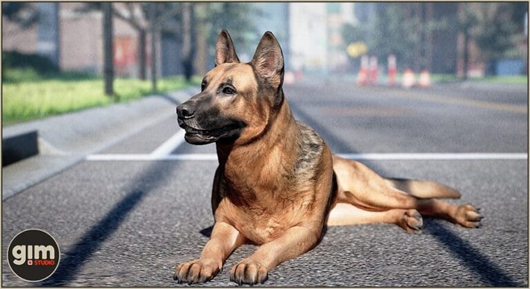 Animalia – German Shepherd download