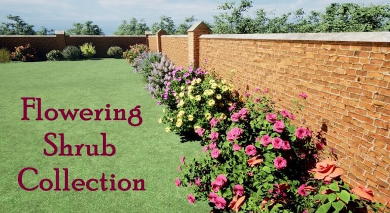 Flowering Shrub Collection download