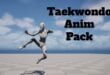 Taekwondo Anim Pack download