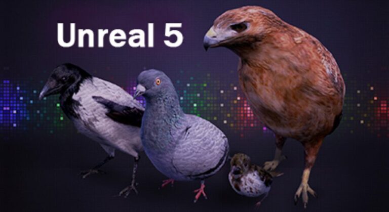 Bird Band download