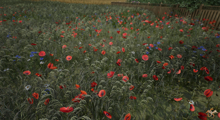 Flowers and Plants Nature Pack download