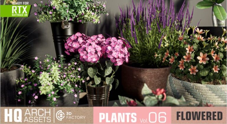 HQ Plants Vol. 6 ( Flowered Plants ) download