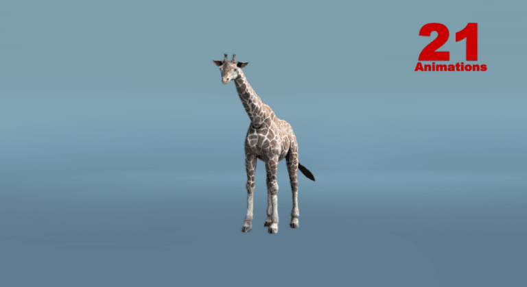African Animal – Giraffe download