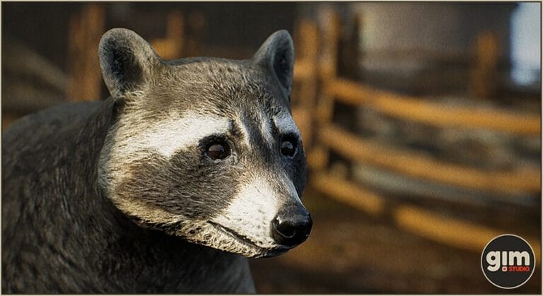Animalia – Raccoon download