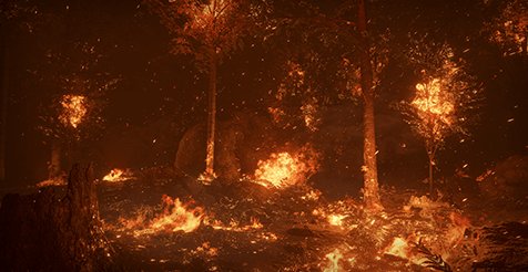 Forest Fire download