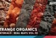 Realistic Materials VOL.10 – Strange Organics (25+ Materials) download
