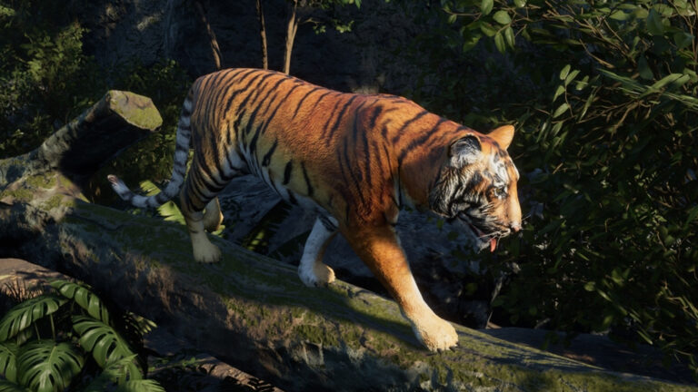 Medhue Tiger download