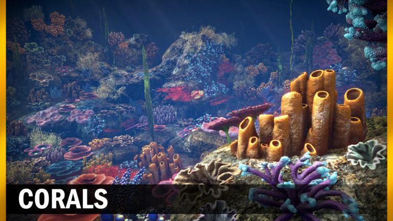 Corals download