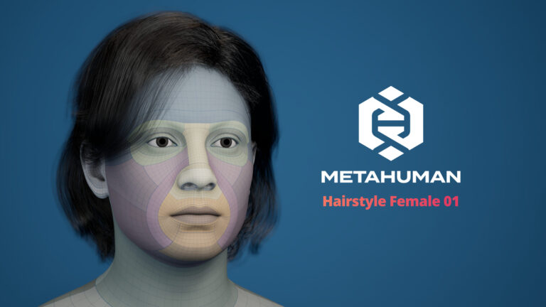 MetaHuman Hairstyle Female 01 Groom download