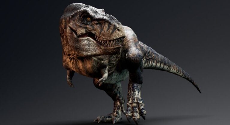 Dinosaur Tyrannosaurus Rex Sue download