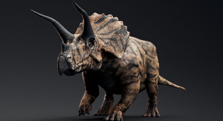 Dinosaur Triceratops download