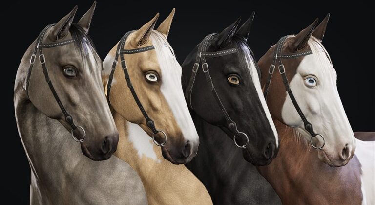 Horse Herd download