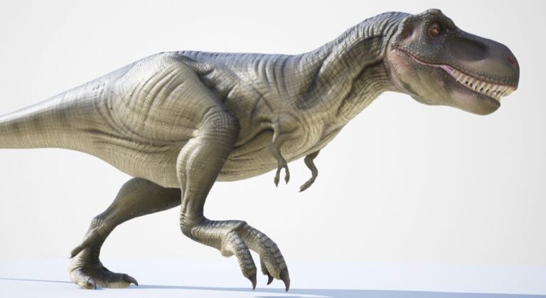 Tyrannosaurus Rex download
