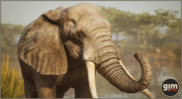Animalia – African Elephant (male) download